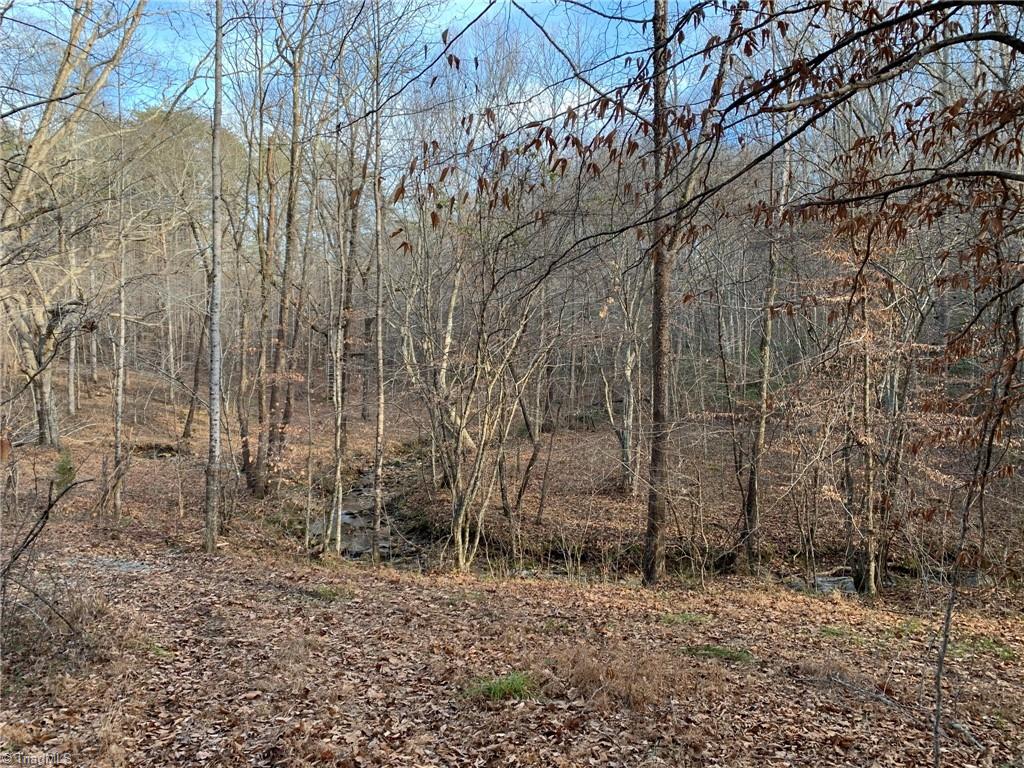 A Sheppard Mill Road Danbury, NC 27016 - Photo 41 of 44 Gallery Image 41