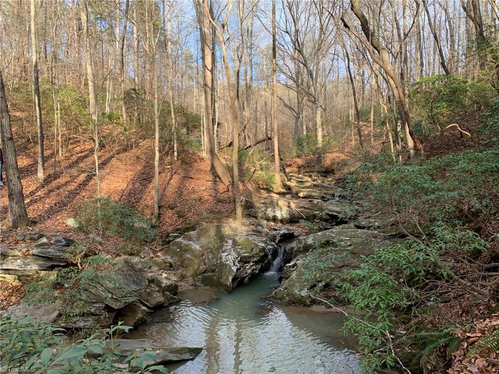 A Sheppard Mill Road Danbury, NC 27016 - Photo 6 of 44 Gallery Image 6