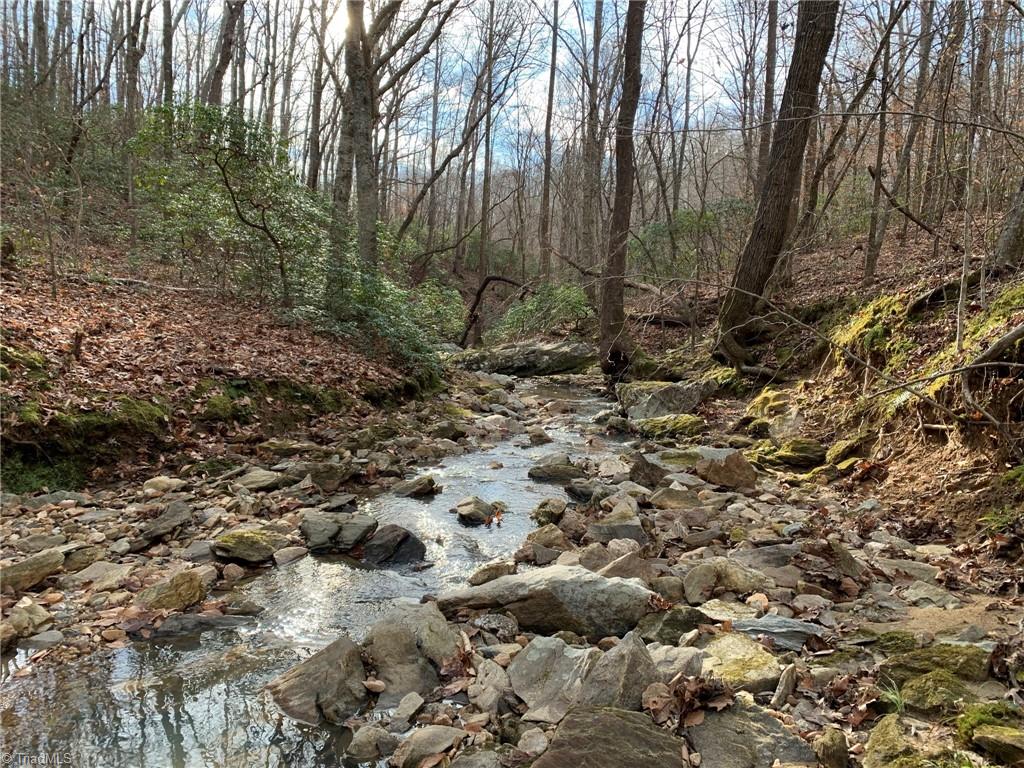 A Sheppard Mill Road Danbury, NC 27016 - Photo 10 of 44 Gallery Image 10
