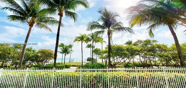 a view of a park with a palm trees