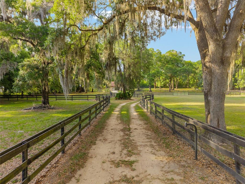 8117 Southwest 41st Place Road Ocala, FL 34481 - Photo 4 of 55