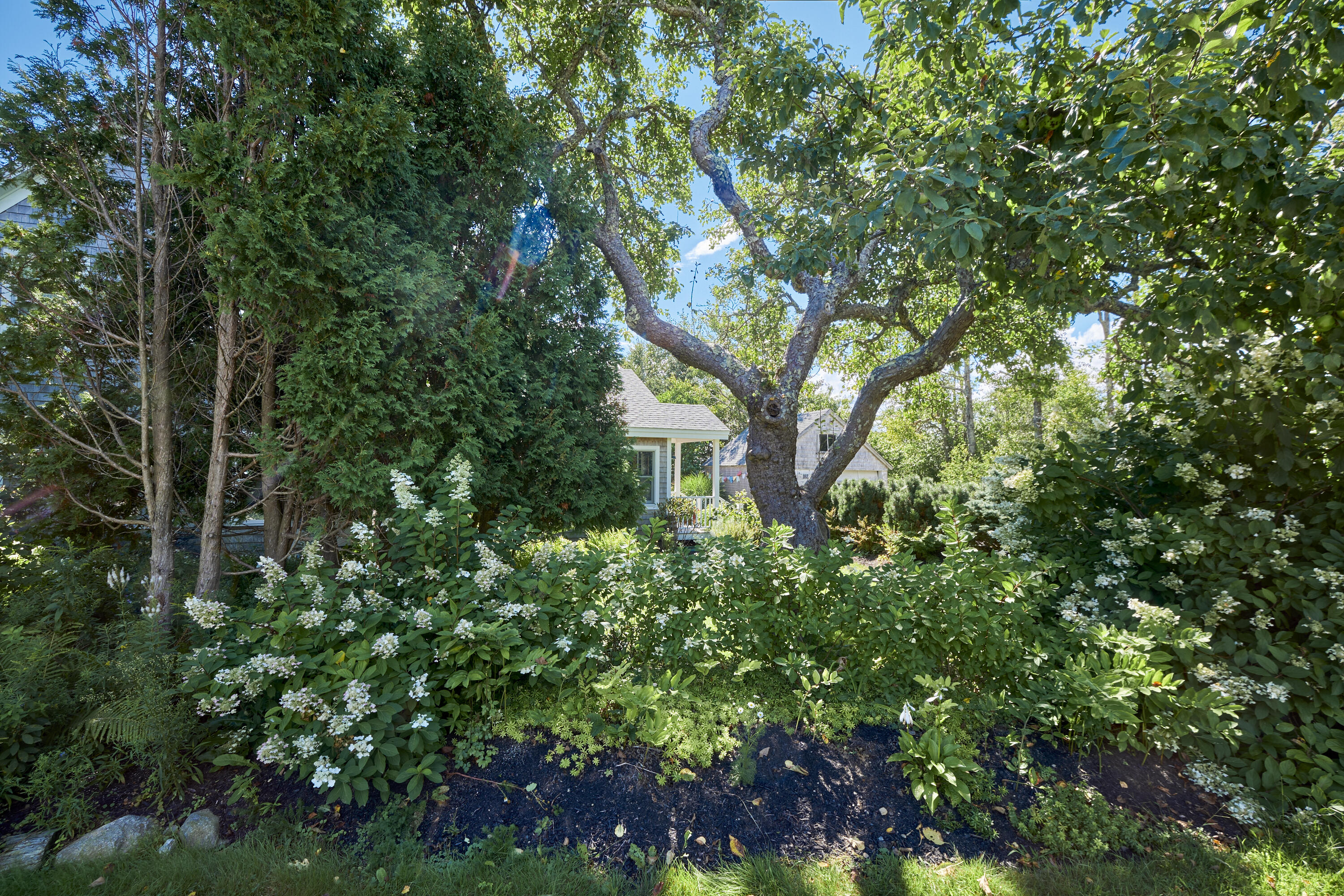 170 Horse Point Road Tenants Harbor, ME 04860 - Photo 58 of 71 14- 170 Horse Point Road - Port Clyde -