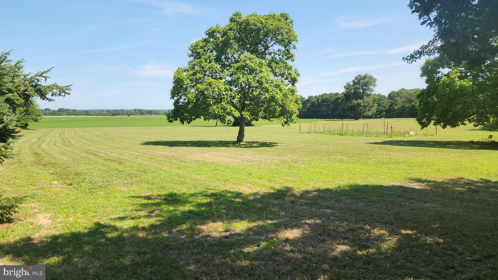 52 River Road Bridgeton, NJ 08302 - Photo 7 of 36