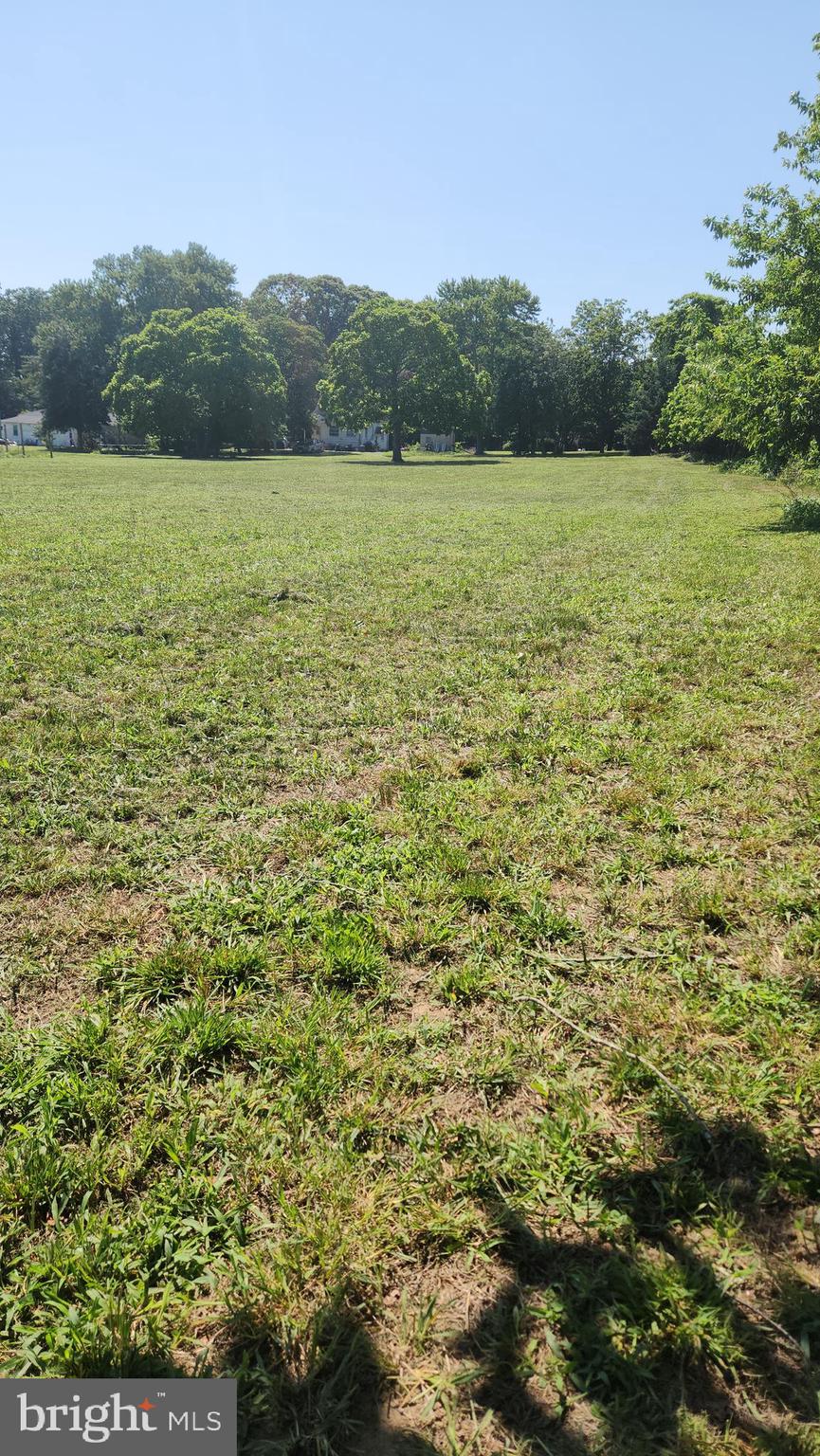 52 River Road Bridgeton, NJ 08302 - Photo 9 of 36