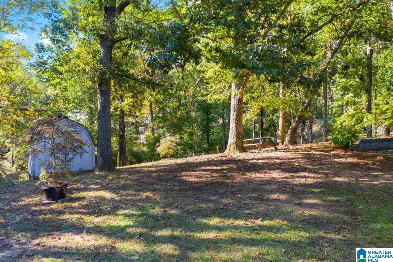 4728 Wine Ridge Lane Birmingham, AL 35244 - Photo 5 of 31