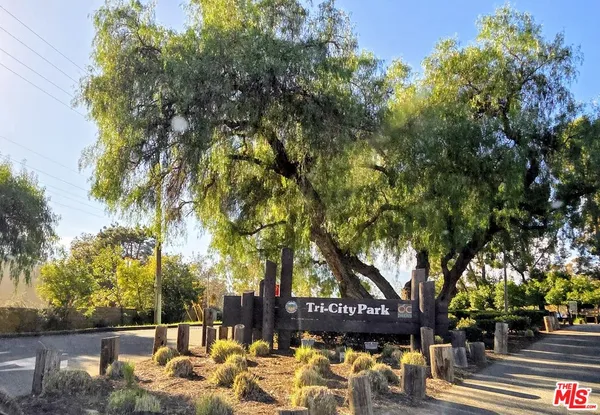 a view of a yard with plants and trees
