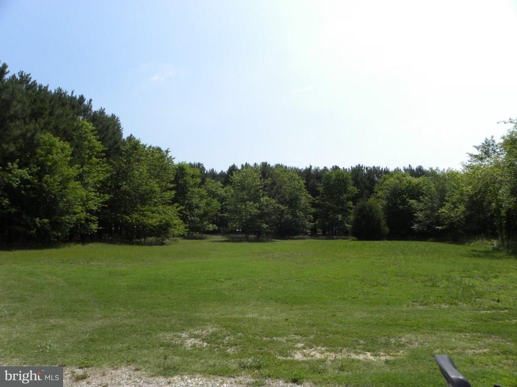 32015 Gray Road Dagsboro, DE 19939 - Photo 14 of 16 Gallery Image 14