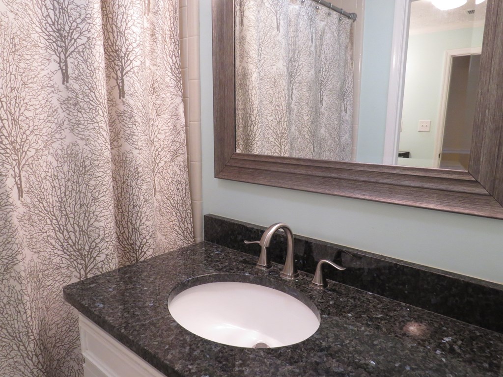 12747 Warm Springs Road Ellerslie, GA 31807 - Photo 11 of 23 2nd vanity in bathroom