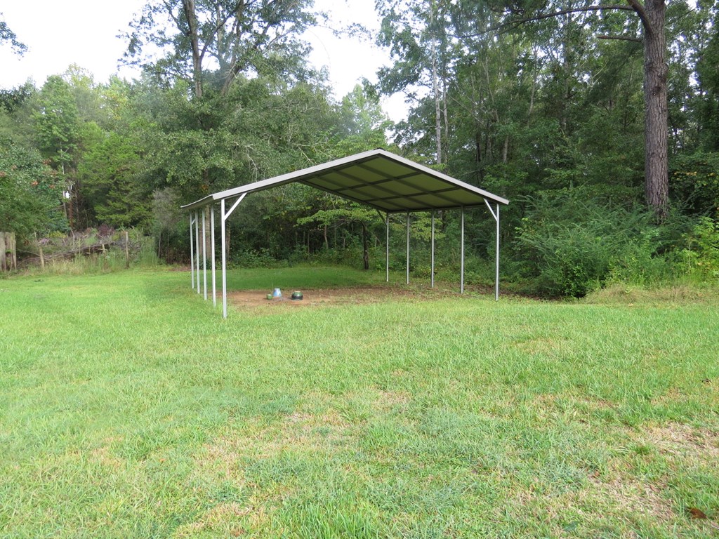 12747 Warm Springs Road Ellerslie, GA 31807 - Photo 23 of 23 Free standing car or boat storage