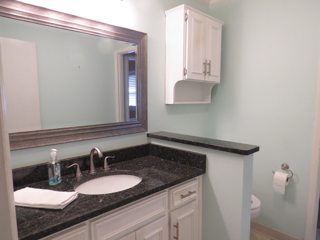 12747 Warm Springs Road Ellerslie, GA 31807 - Photo 10 of 23 Bathroom with granite counter tops