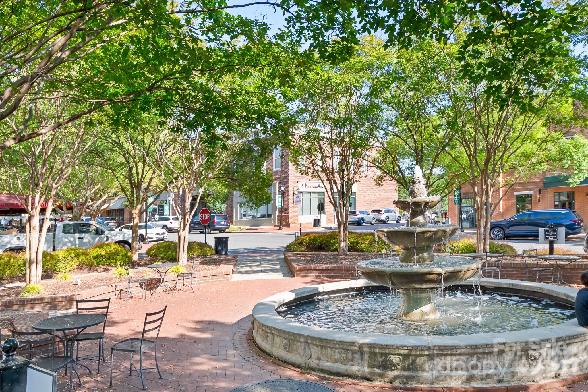 2607 Nations Commons Street Fort Mill, SC 29708 - Photo 27 of 40 a view of a water fountain in the backyard of a house
