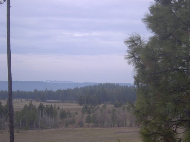 0 Ford-wellpinit Road Wellpinit, WA 99040 - Photo 5 of 7