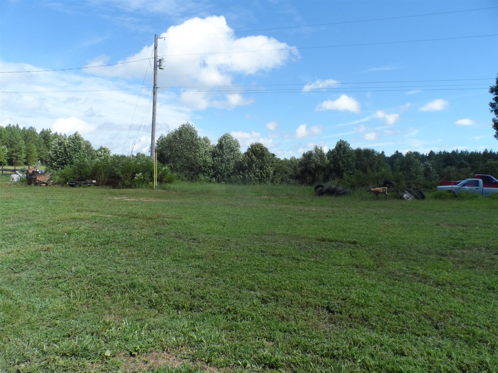 876 B J Road Centerville, TN 37033 - Photo 2 of 12 Gallery Image 2