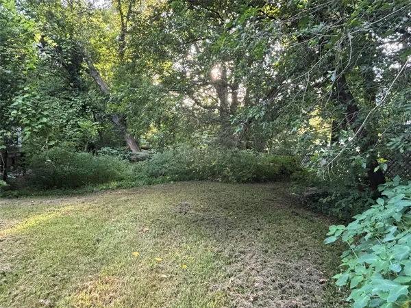 a view of a big yard with plants and large trees