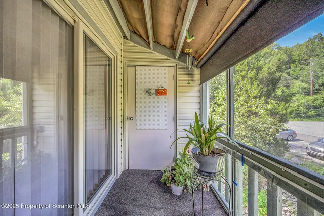 a view of potted plants with wooden floor