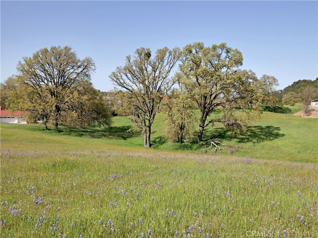 0 Bennett Way Templeton, CA 93465 - Photo 7 of 10