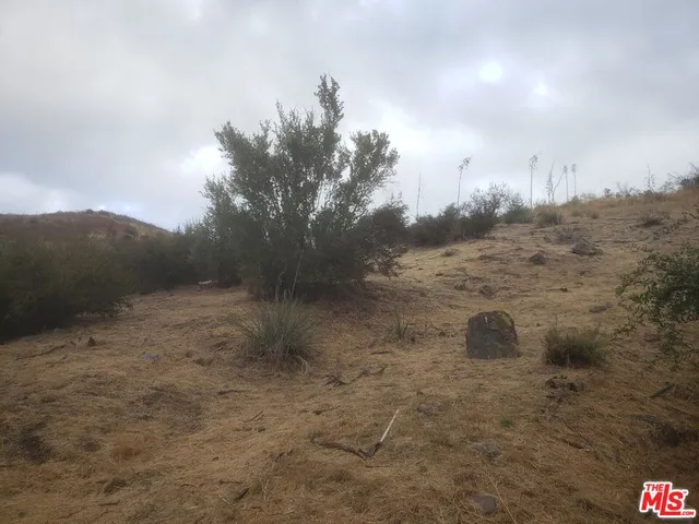 a view of a dry field with trees in the background