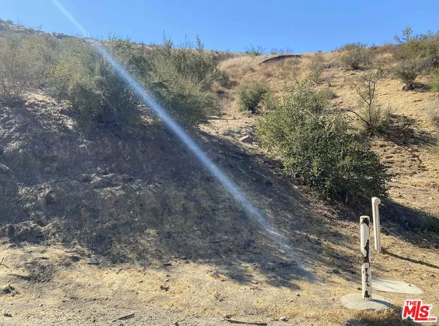 a view of a dry yard with mountains in the background
