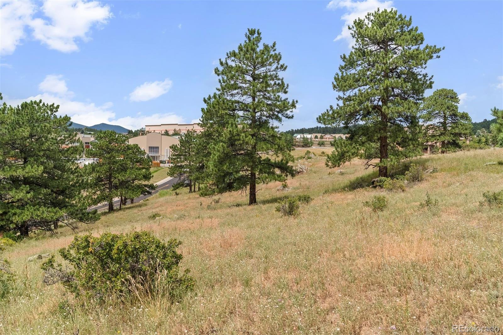 1162 Swede Gulch Road Evergreen, CO 80439 - Photo 23 of 27 a view of a yard with trees