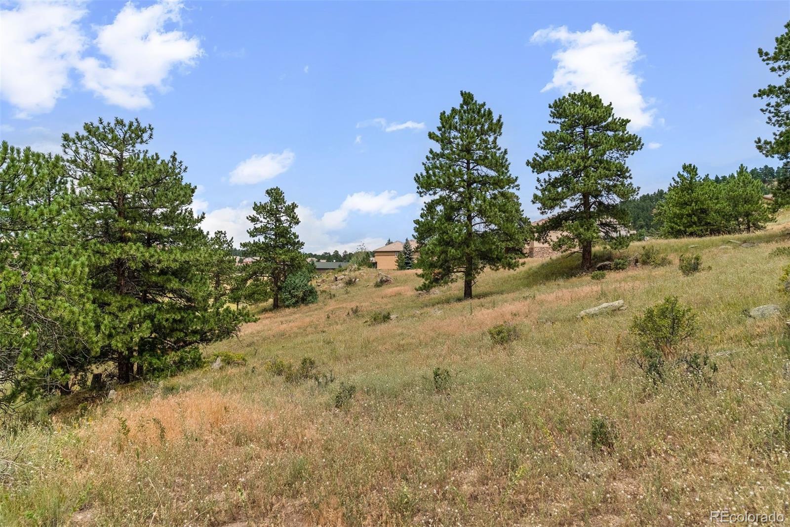 1162 Swede Gulch Road Evergreen, CO 80439 - Photo 5 of 27 a view of a yard with a tree
