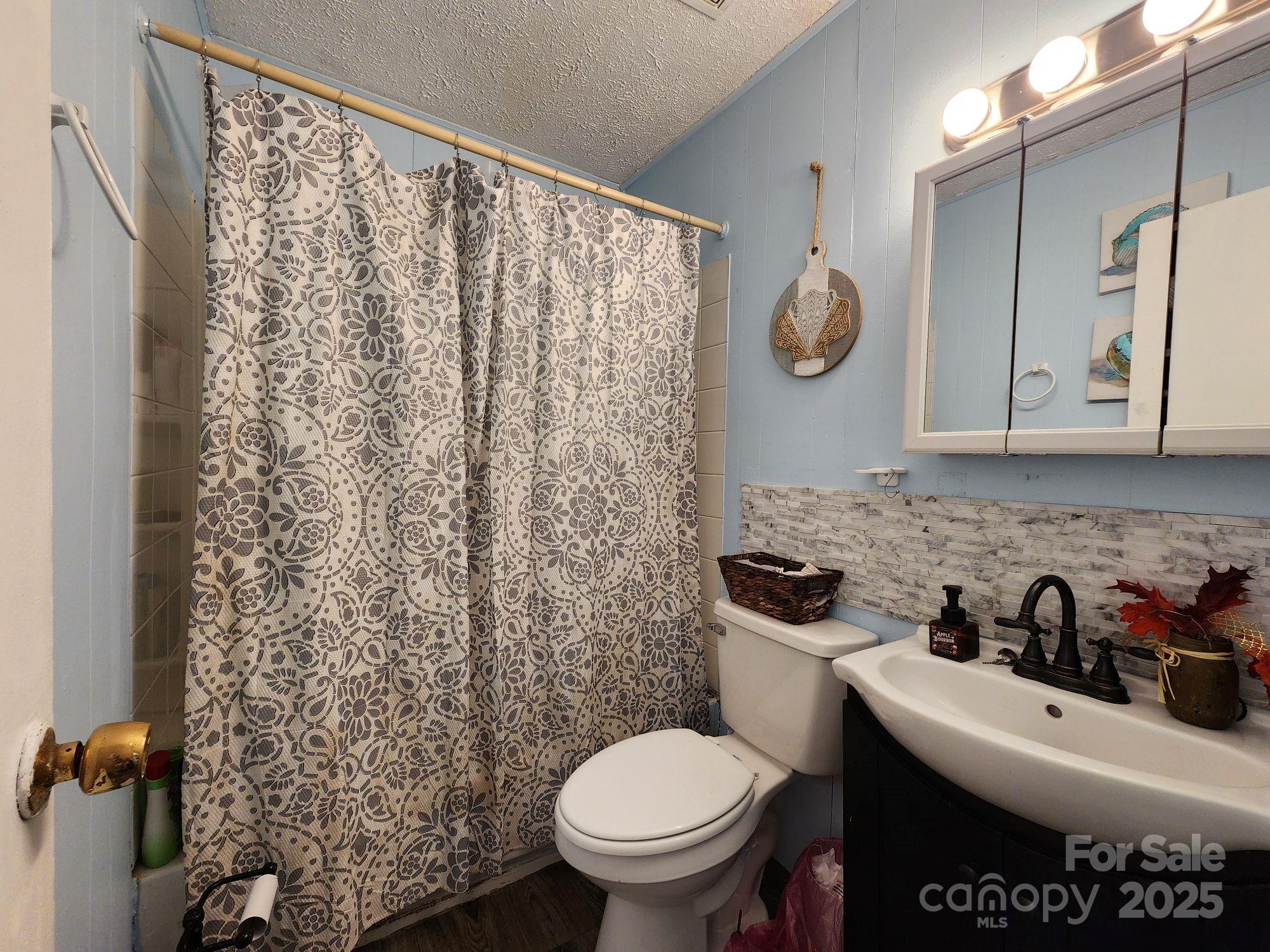41 Gunches Dirt Road Candler, NC 28715 - Photo 21 of 33 a bathroom with a toilet a sink and a shower curtain