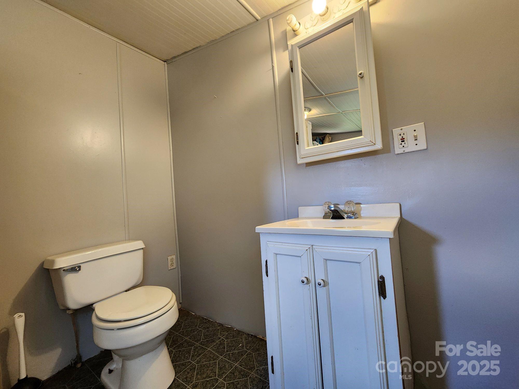 41 Gunches Dirt Road Candler, NC 28715 - Photo 26 of 33 a bathroom with a toilet a sink and mirror