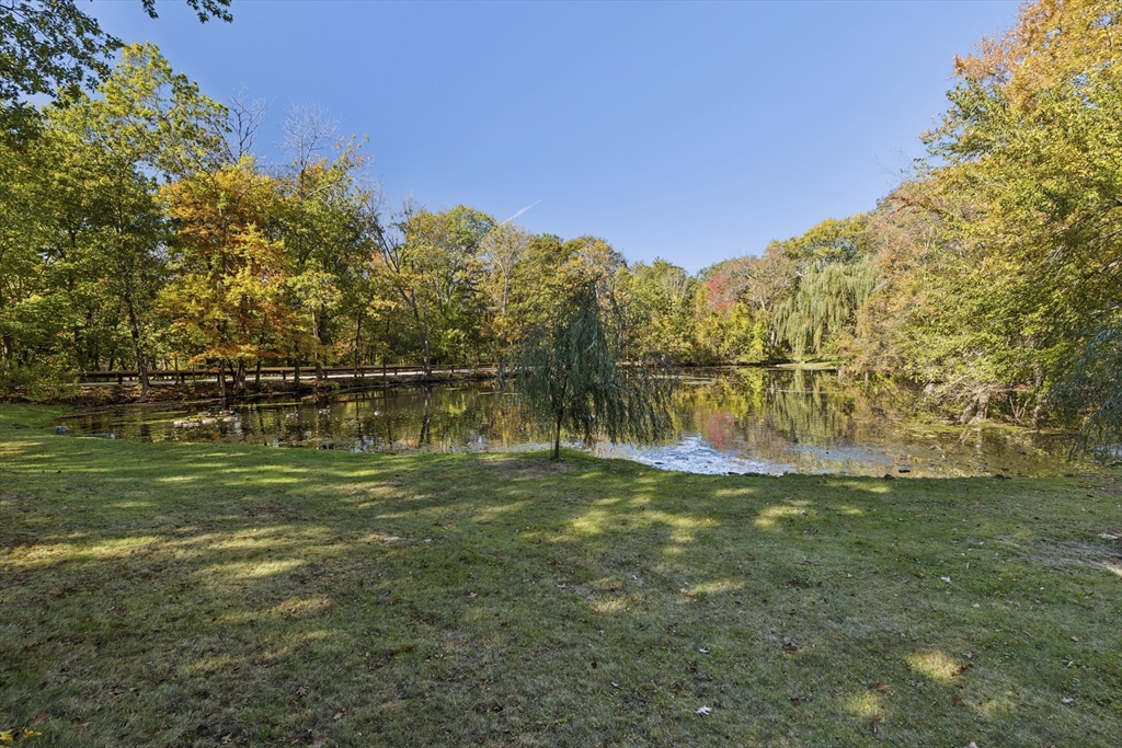 873 Chestnut Street Newton, MA 02468 - Photo 22 of 22 a view of a grassy field with trees