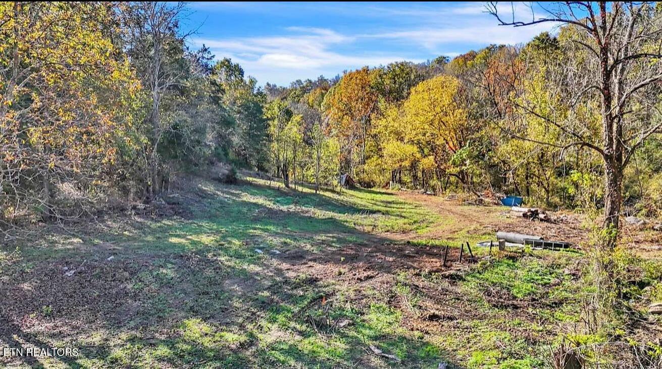 0 Shiloh Church Road Woodbury, TN 37190 - Photo 1 of 9 IMG_6755