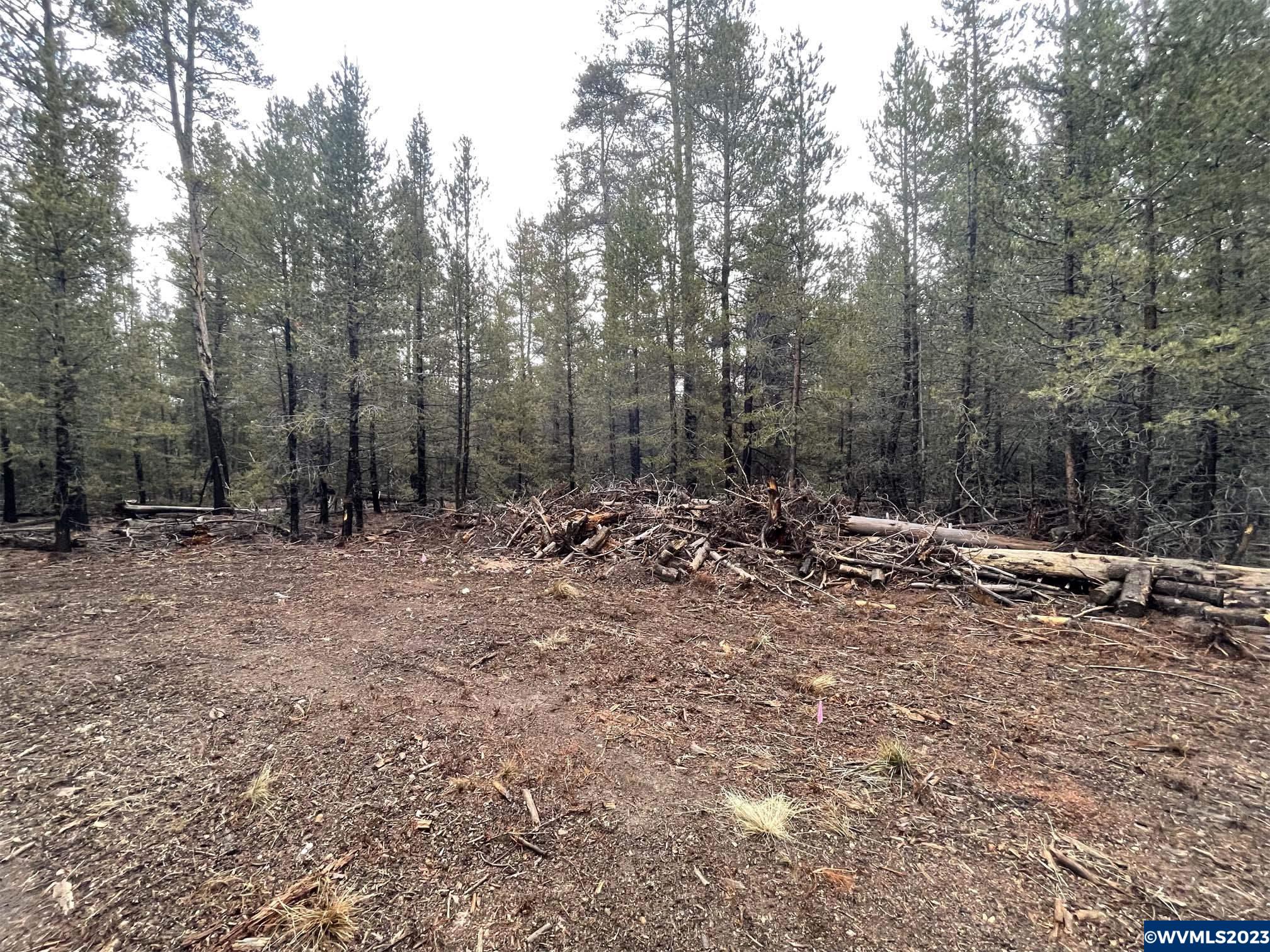500 Cloudcap Drive Chiloquin, OR 97624 - Photo 4 of 23