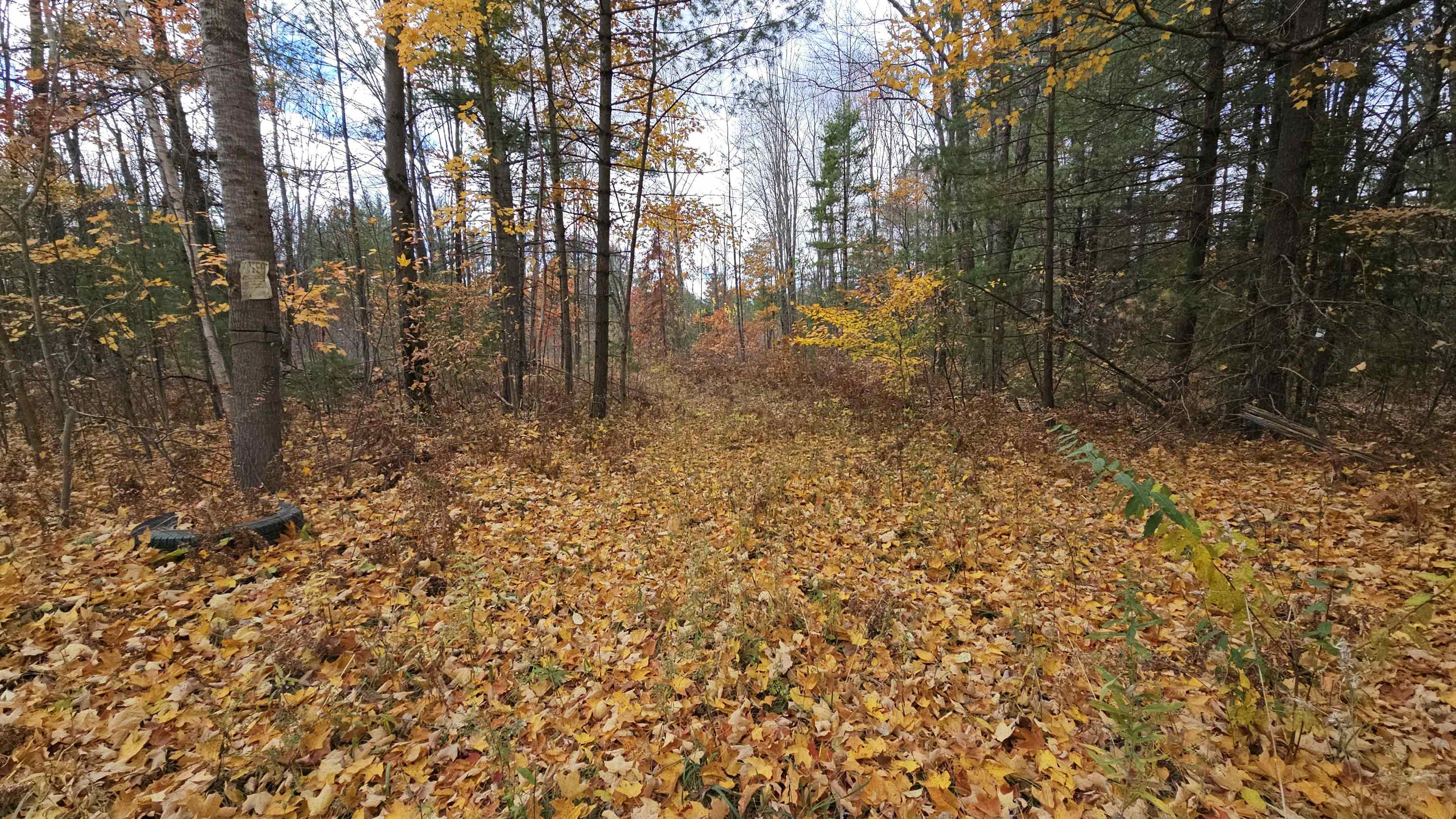 0 South Morrison Road West Branch, MI 48661 - Photo 3 of 9