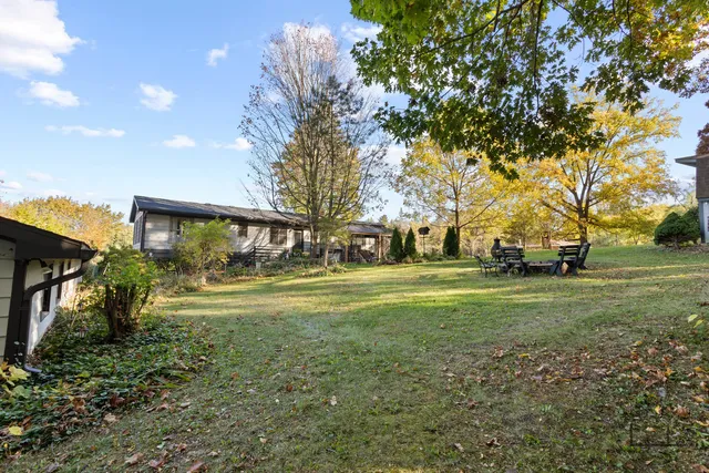 a view of a park that has large trees