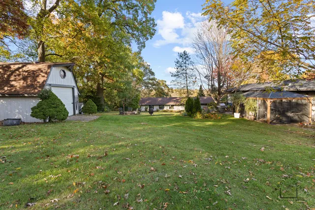 a view of a garden with a tree