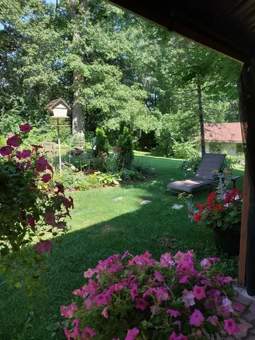 a view of a flower in a yard