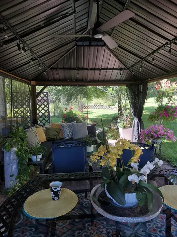 a view of a garden with plants and large trees