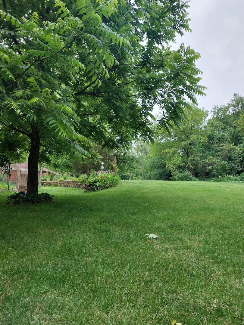 400 Crestview Drive Fox River Grove, IL 60021 - Photo 37 of 48 a view of a field of grass and trees