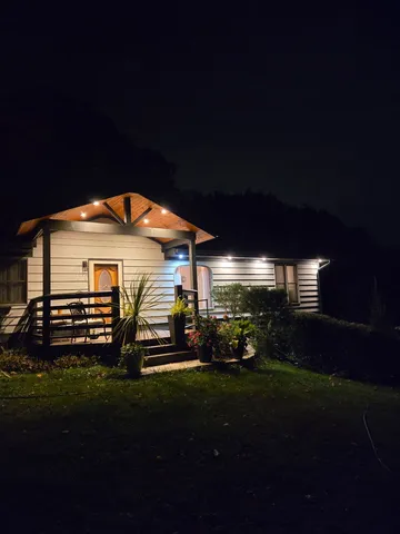 a view of a flower in a garden