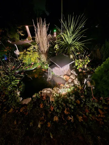 a small pool with some trees in the background