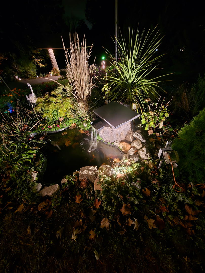 400 Crestview Drive Fox River Grove, IL 60021 - Photo 42 of 48 a view of a flower in a garden