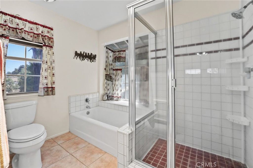 10525 Verdugo Road Fallbrook, CA 92028 - Photo 21 of 48 Shower & separate tub