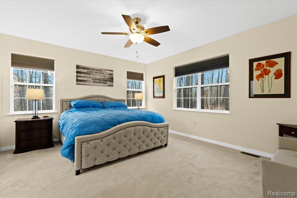 4377 Bootjack Trail Howell, MI 48843 - Photo 13 of 39 Gallery Image 13