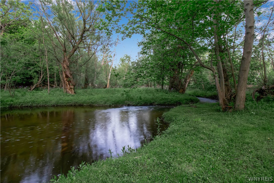 5555 Kraus Road Clarence, NY 14031 - Photo 46 of 50 Ransom Creek - Rear of Property