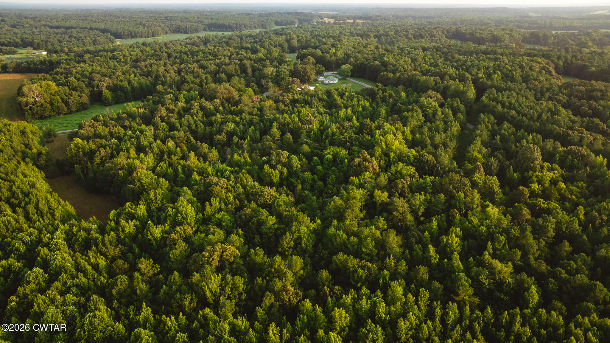 310 Little Zion Road Palmersville, TN 38241 - Photo 36 of 39 DJI_20260812143520_0146_D