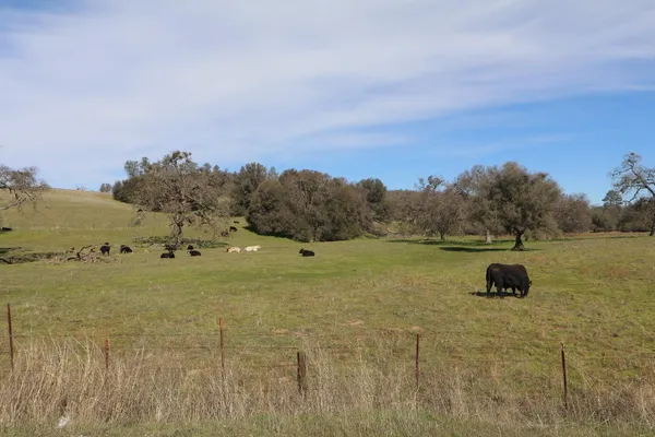 a view of a lake with trees in the background
