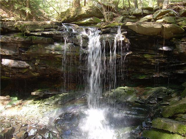 Stream Waterfall