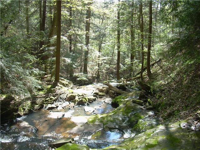 Downstream