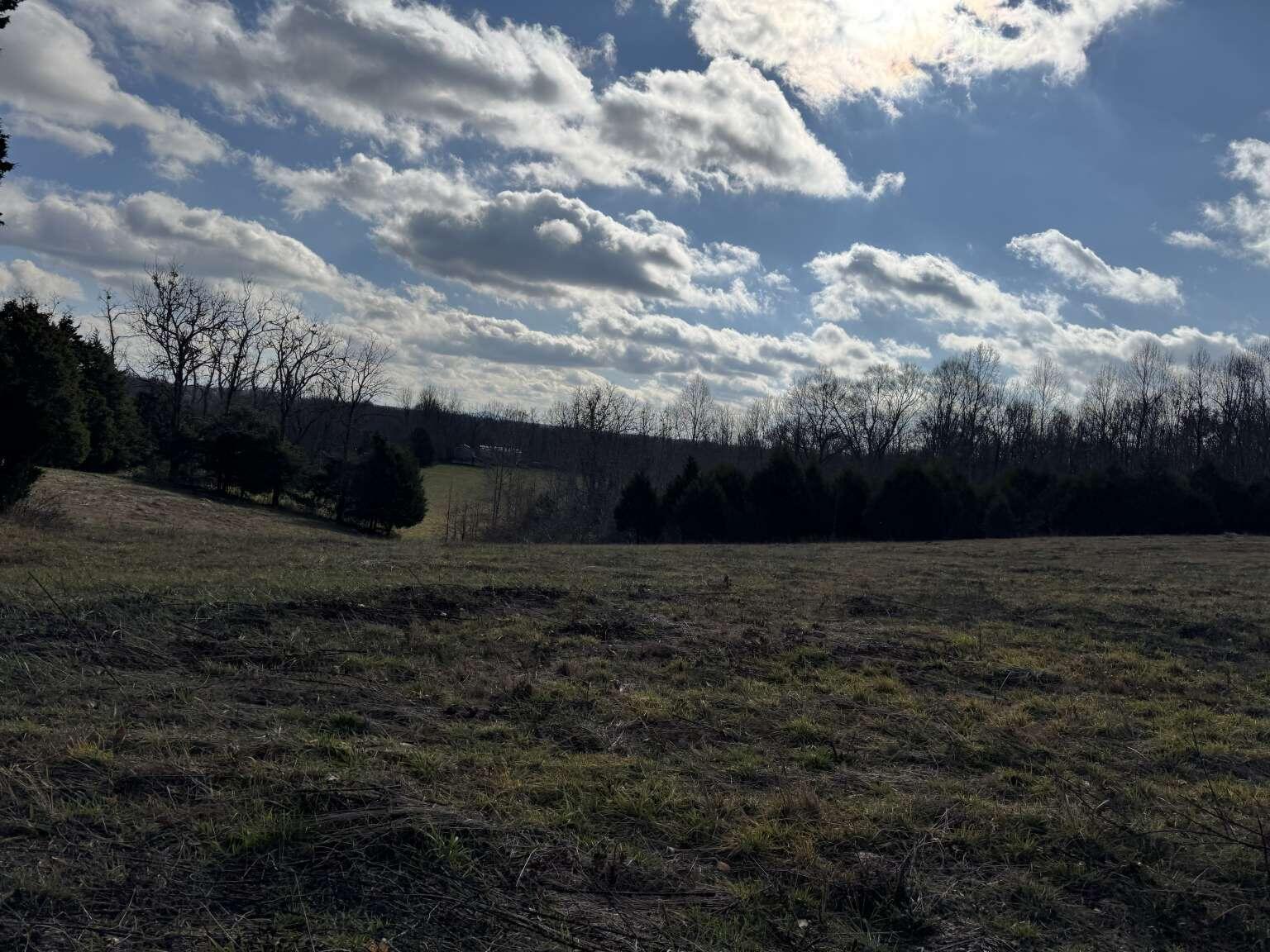 1111 Clear Branch Road Liberty, KY 42539 - Photo 15 of 33 Purvis.15