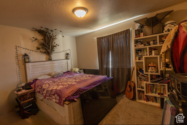 660 East 400 North Spring City, UT 84662 - Photo 6 of 16 Bedroom featuring carpet floors and a textured ceiling