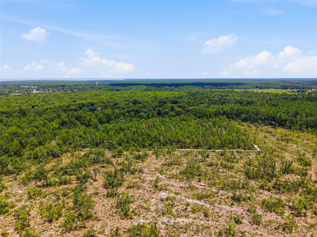 2140 St Johns River Road Astor, FL 32102 - Photo 14 of 36 a view of a city
