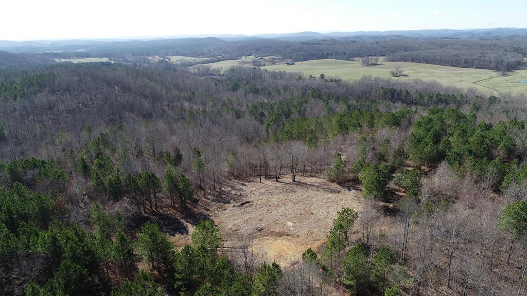 Tract #8 Tract Road, Unit TRACT # 8 Cohutta, GA 30710 - Photo 1 of 1 Main View