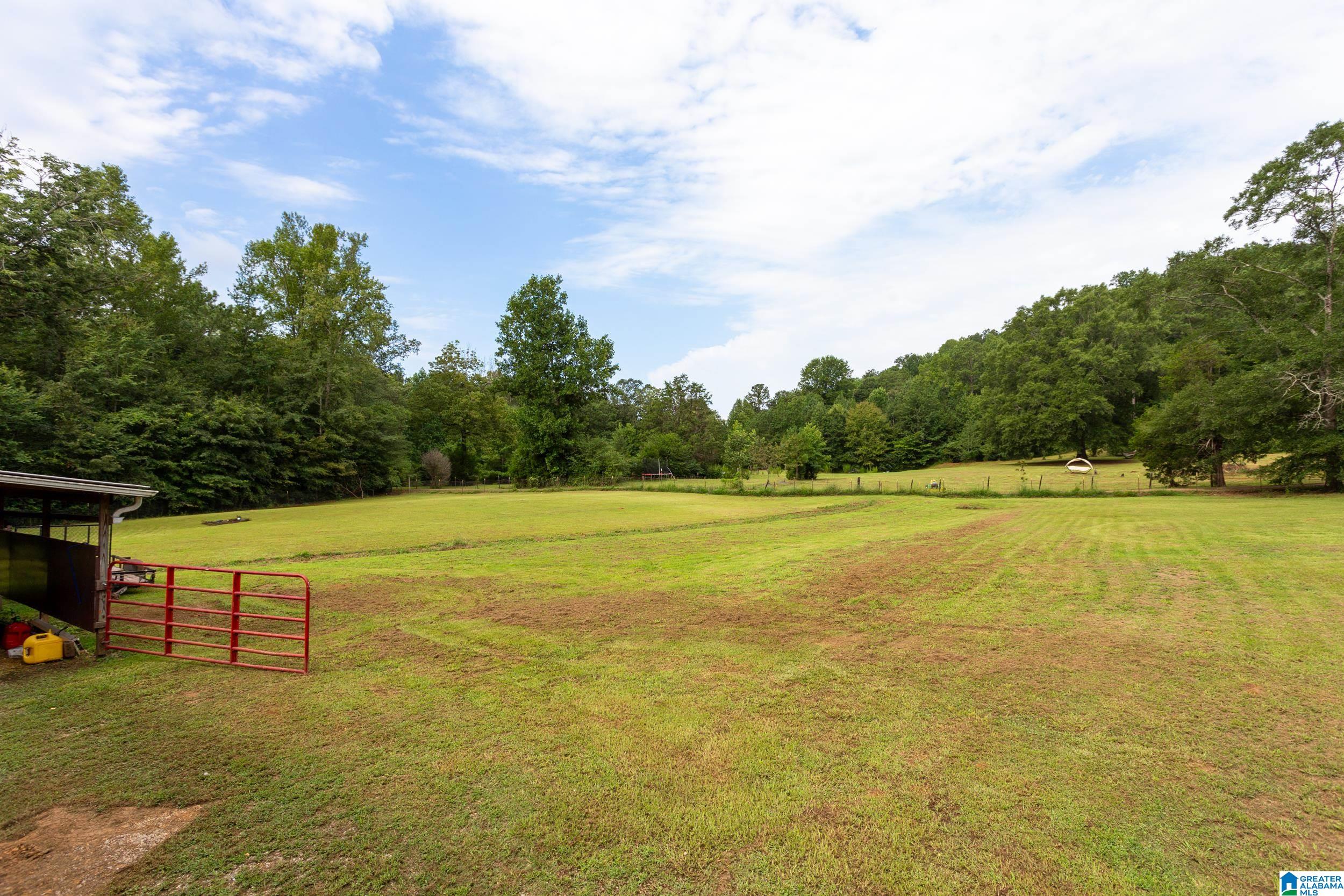 125 Homebrew Knob Ragland, AL 35131 - Photo 39 of 42